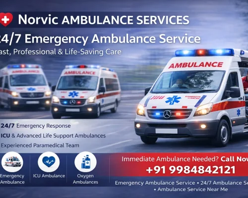 ChatGPT Image Mar 3, 2026, 11_53_45 PM