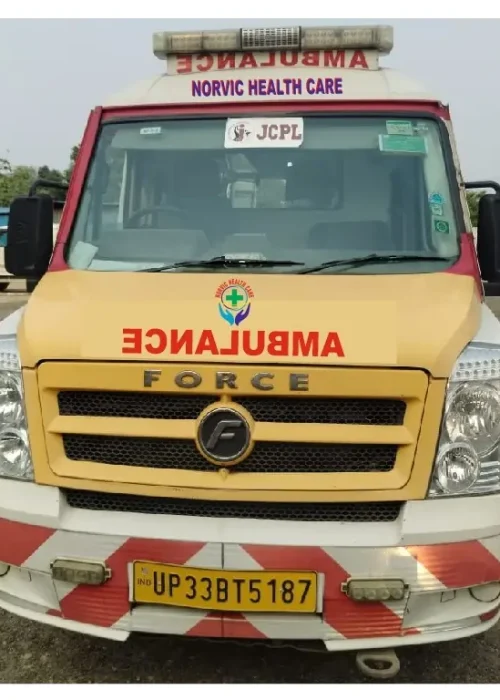 WhatsApp Image 2026-03-04 at 01.26.39